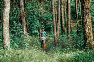 BIB: 
                            <button type="button" onclick="openModal(25237223)" class="btn btn-primary btn-sm float-right btn-popup" data-toggle="modal" data-target=".modal-high-quality">
                        <i class="fas fa-shopping-cart"></i> Add to Cart
                    </button>
                                            <button type="button" onclick="isThisMe(25237223, true)" class="btn btn-success btn-sm float-right btn-popup btn-isme hidden" data-toggle="tooltip" data-placement="bottom" title="นี่คือรูปของคุณใช่ไหม คลิกที่นี่เพื่อเอาเข้าอัลบั้ม">
                        <i class="fas fa-plus"></i> Add to album
                    </button>
                    <button type="button" onclick="isThisMe(25237223, false)" class="btn btn-warning btn-sm float-right btn-popup btn-isnotme hidden">
                        <i class="fas fa-ban"></i> Remove from album
                    </button>